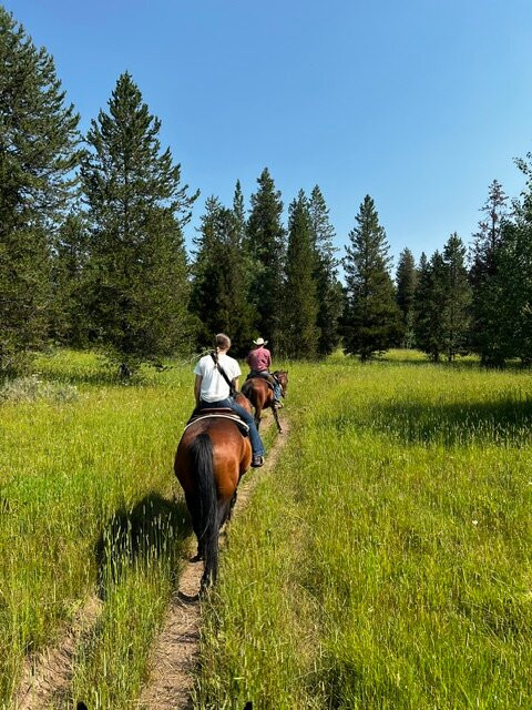 Yellowstone Horses - Eagle Ridge Ranch-艾兰帕克必去景点