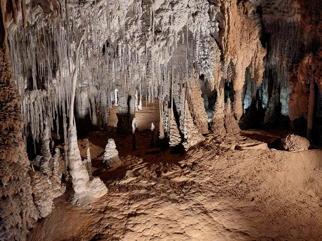 Mole Creek Caves-茉莉溪必去景点