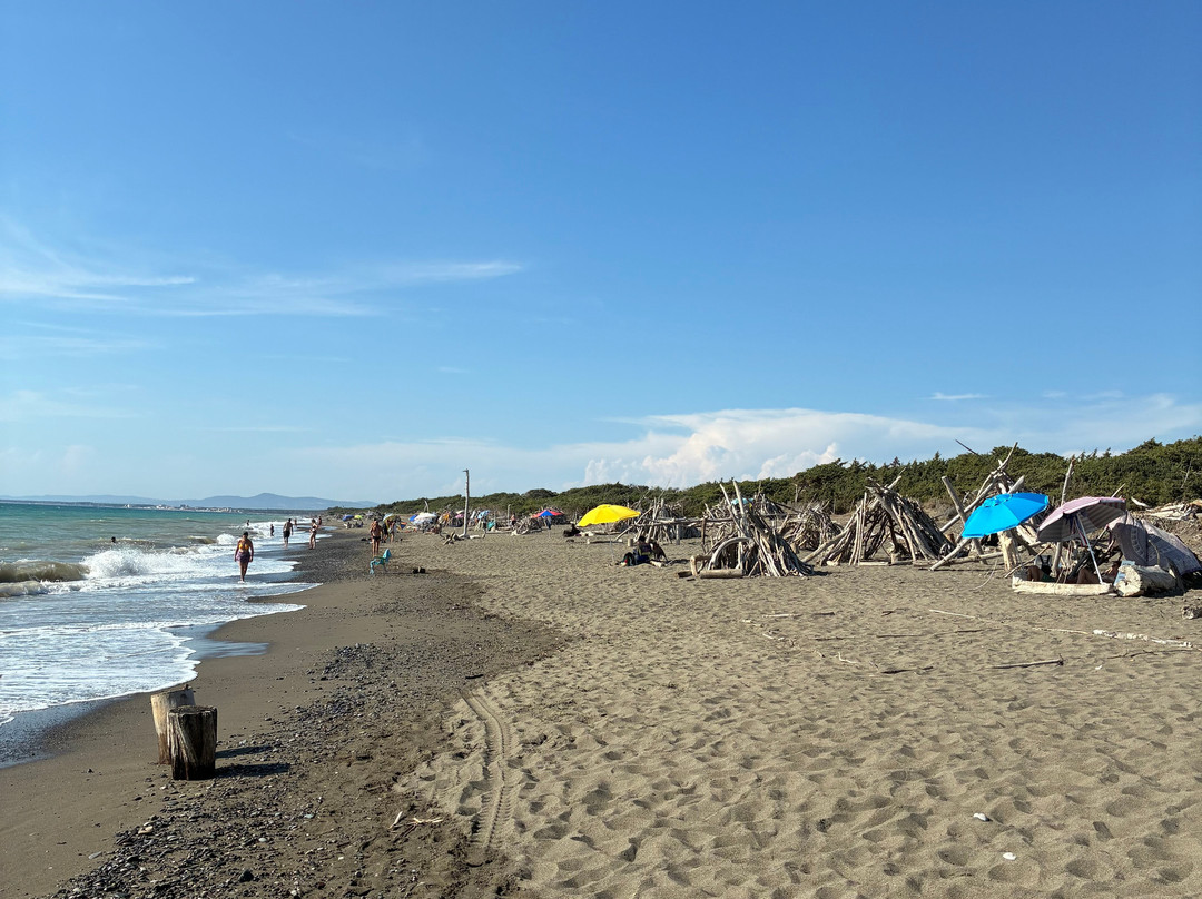Riserva Naturale Tombolo di Cecina-Marina di Cecina必去景点