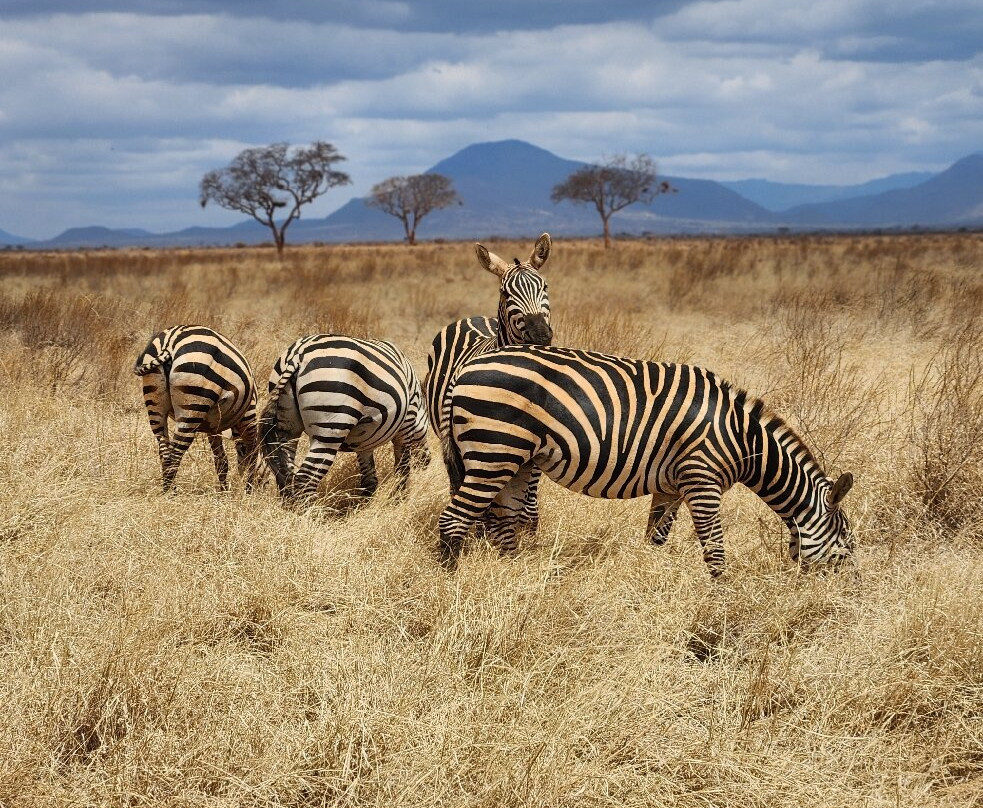 Explorer Kenya-内罗毕必去景点
