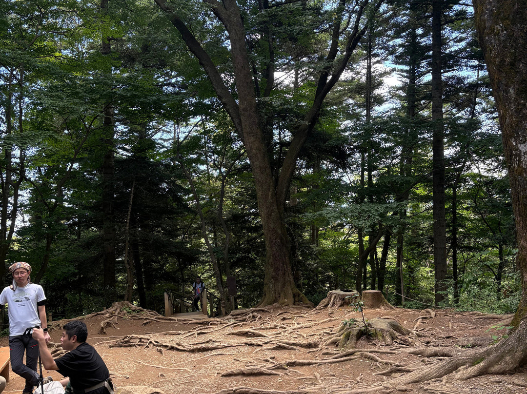 高尾山-八王子市必去景点
