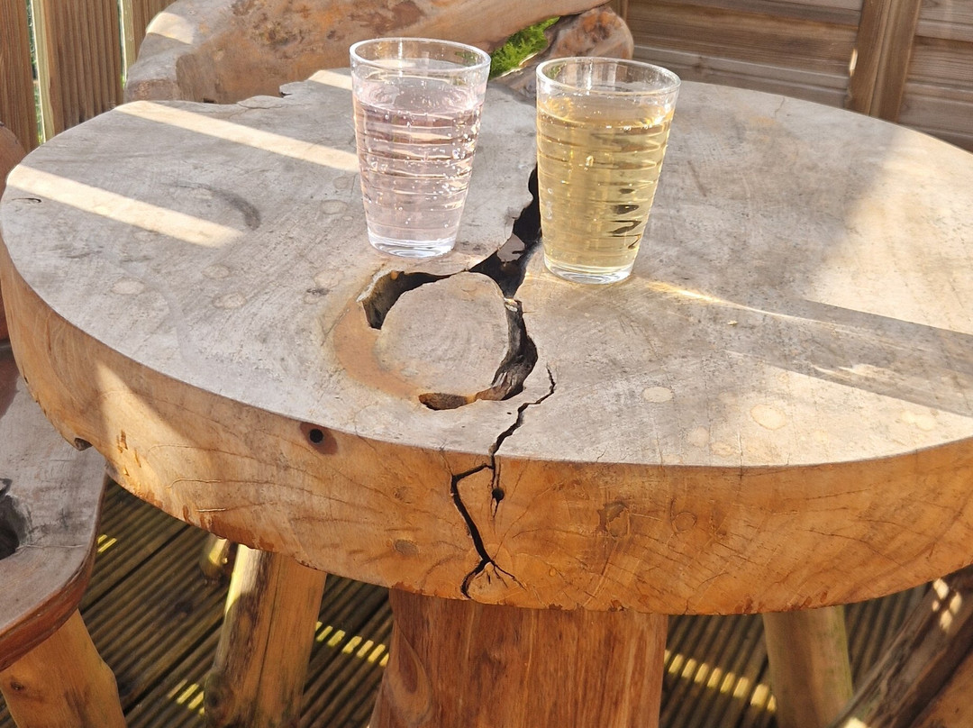 Devon River Glamping Pods