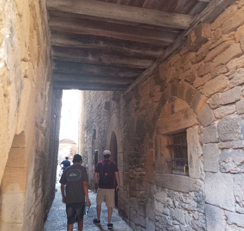 Vieux Sarlat-萨尔拉必去景点