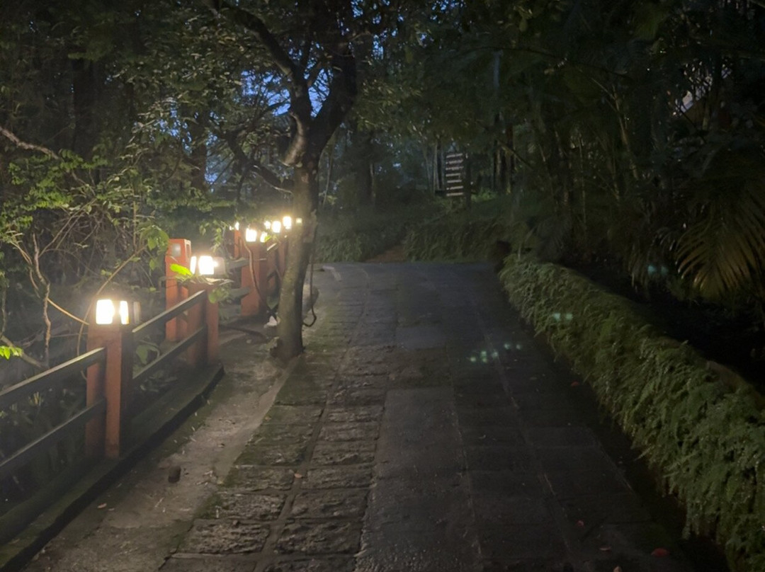 瓦亚纳德银树林酒店主图