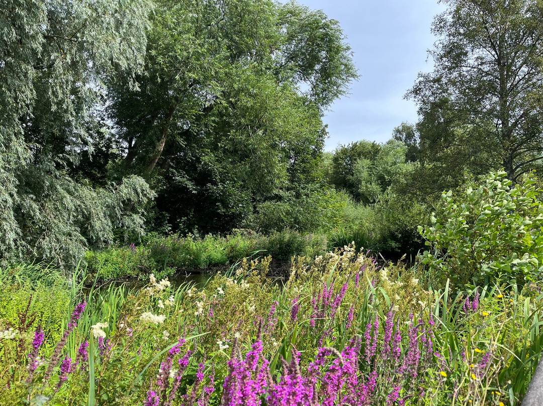 WWT Martin Mere Wetland Centre-Burscough必去景点