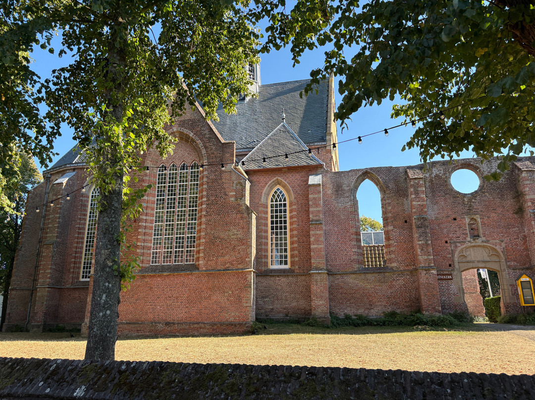 De Ruinekerk van Bergen uit 1597-Bergen必去景点