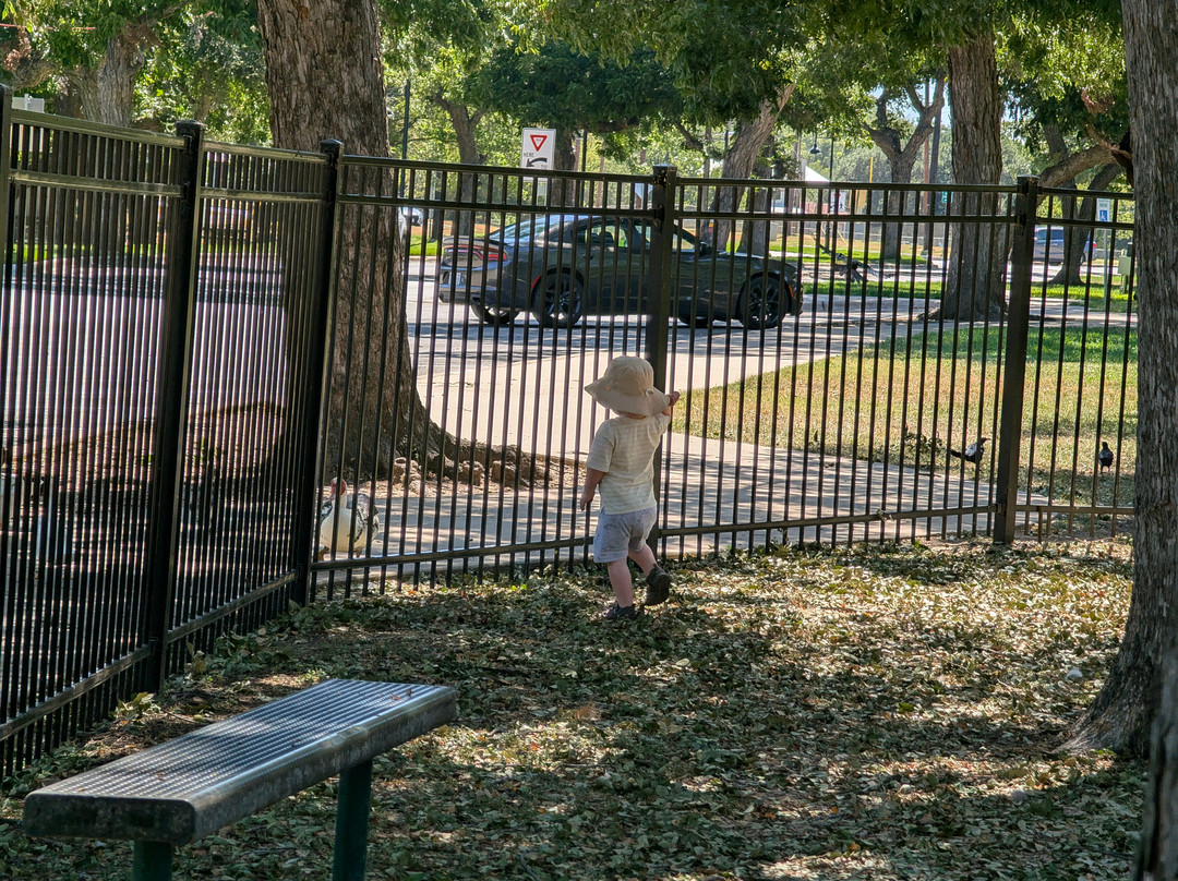 Johnson Park-Marble Falls必去景点