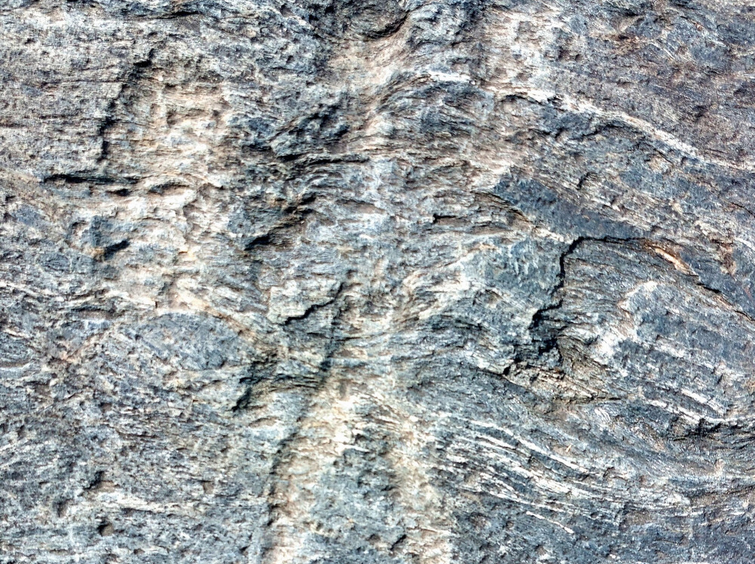 Parco Delle Incisioni Rupestri di Grosio e Grosotto-Grosio必去景点