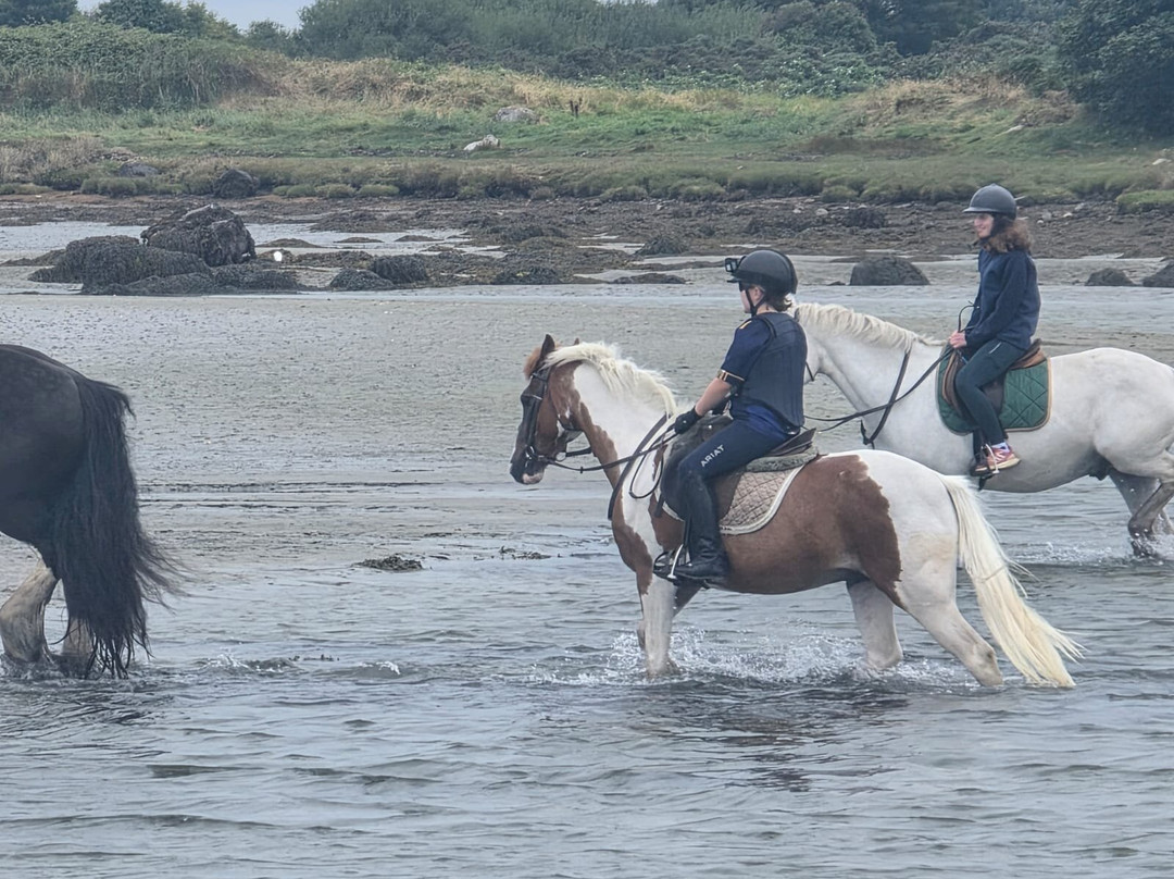 Moycullen Riding Centre-Moycullen必去景点