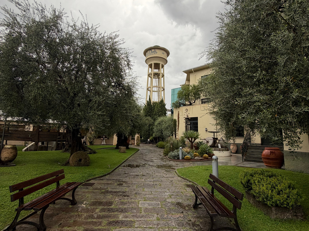 Museo dell'Olivo-因佩里亚必去景点