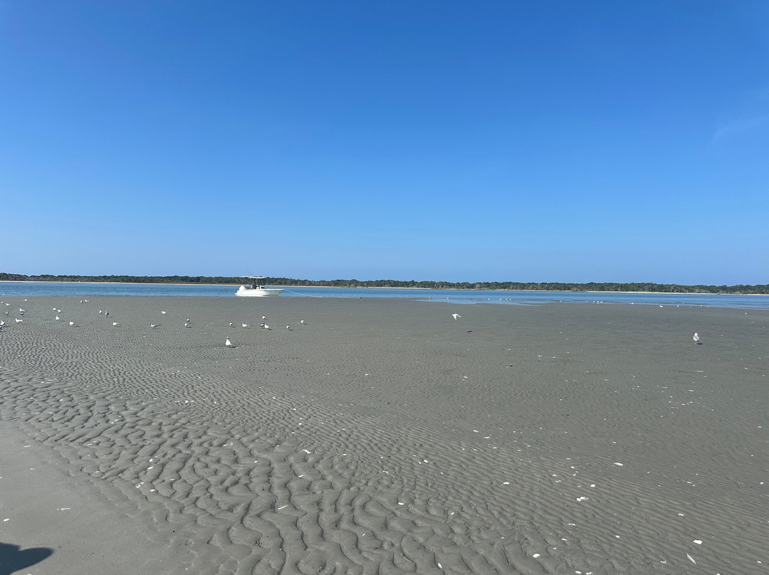 Crystal Coast Ecotours-莫尔黑德城必去景点