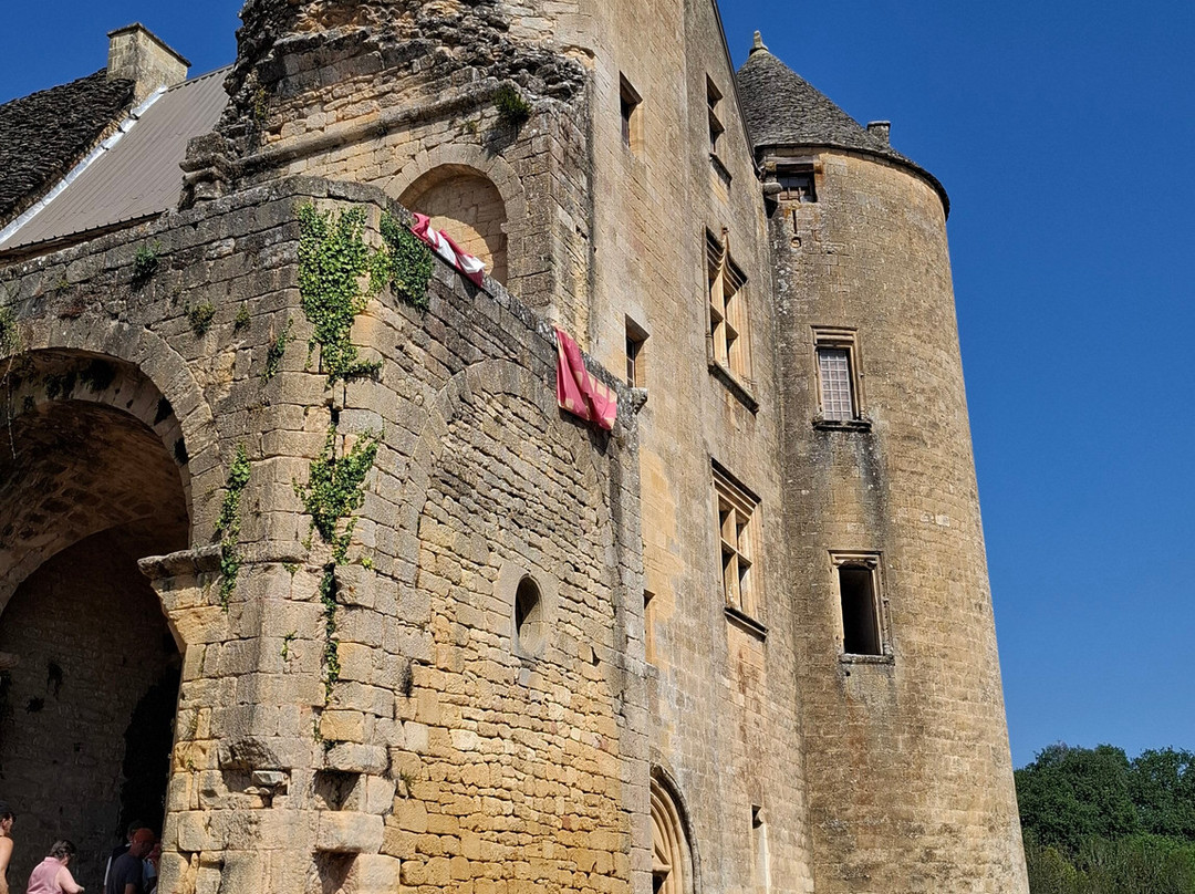 Château de Salignac-Salignac-Eyvigues必去景点
