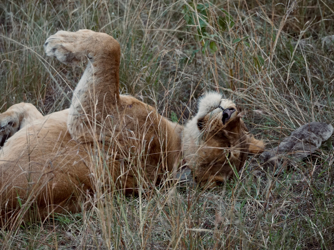 Irembo Africa Safaris Ltd-坎帕拉必去景点