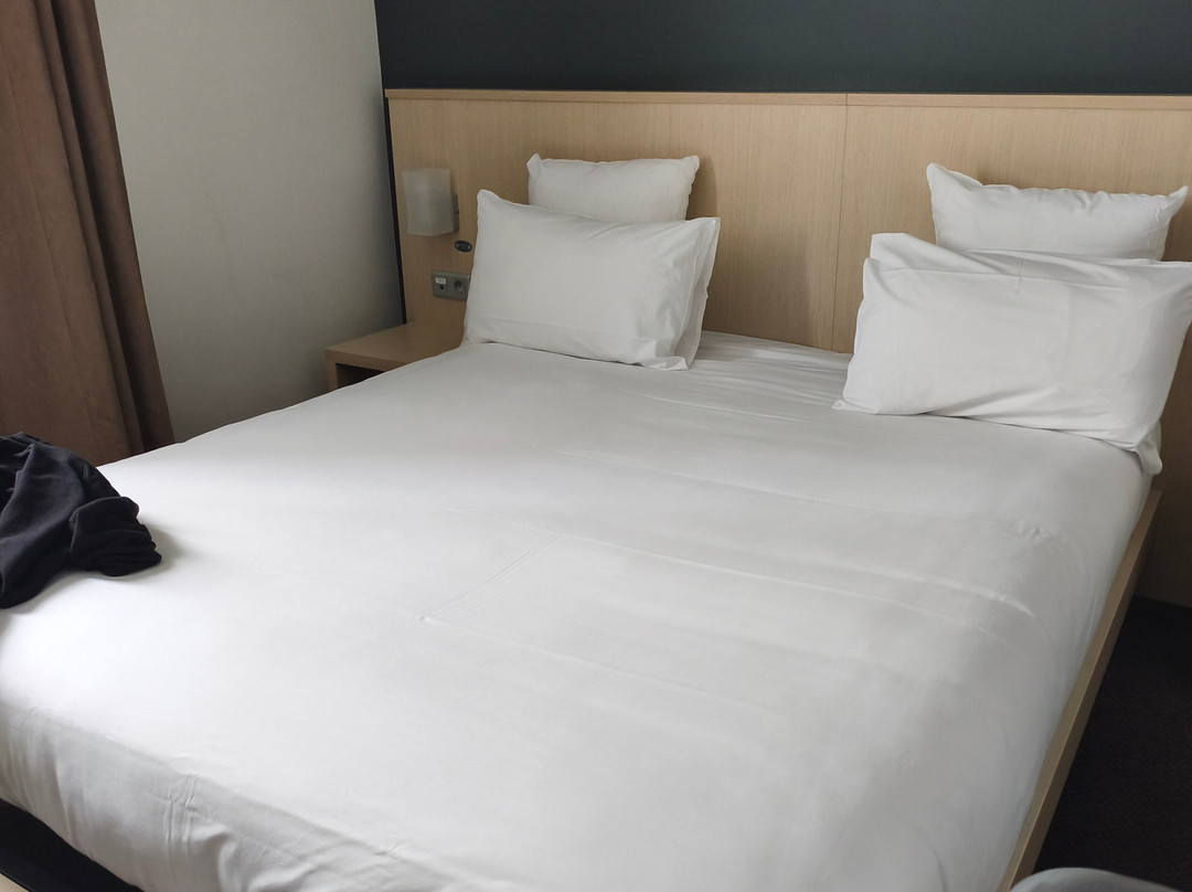 Sure Hotel by Best Western Nantes Beaujoire主图
