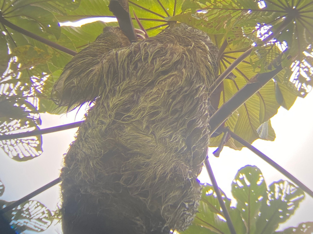 Conchal Adventures Costa Rica-孔查沙滩必去景点