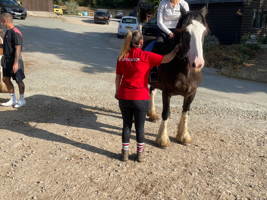 Penycoed Riding Stables-Pant必去景点