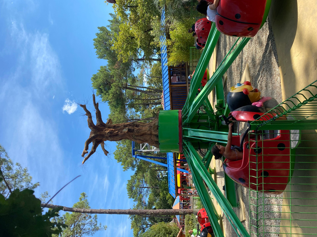 Parc de la Coccinelle-Gujan-Mestras必去景点