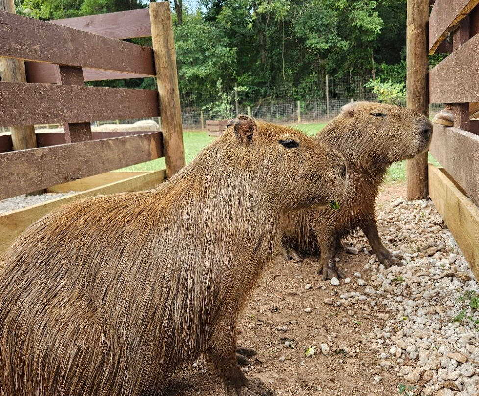 Georgia Untamed Zoo-Hogansville必去景点