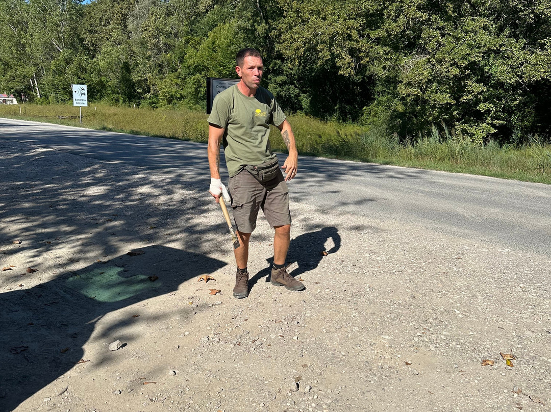 Truffle Hunting-Motovun必去景点