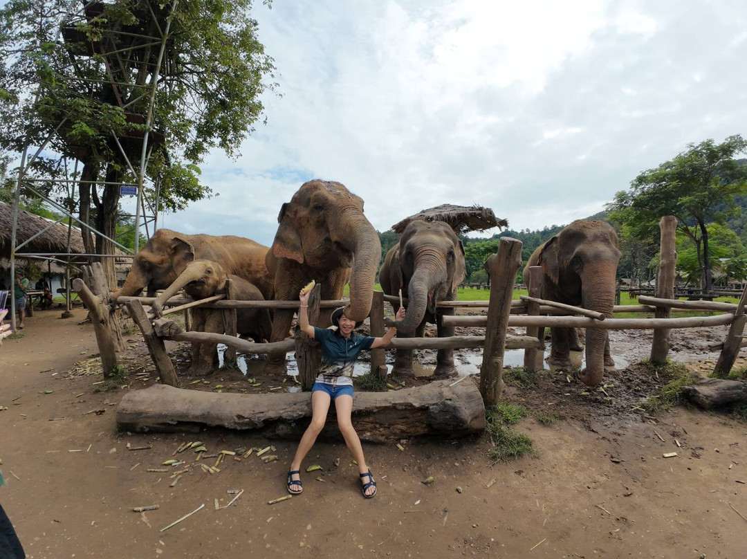 Better Travel Thailand