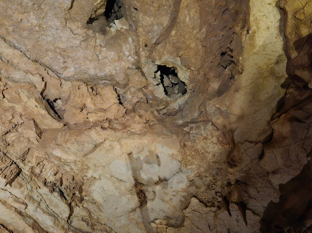 Indiana Caverns-Corydon必去景点