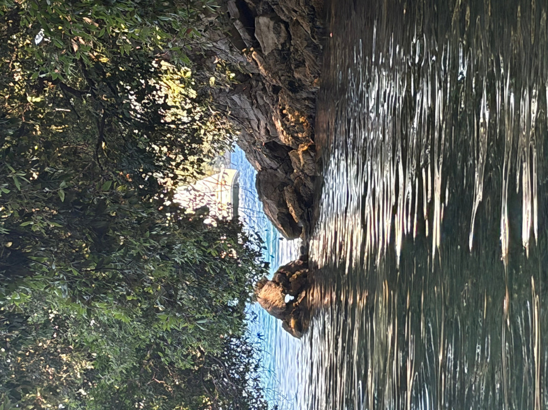 Marilena daily cruises Lefkada-Nidri必去景点
