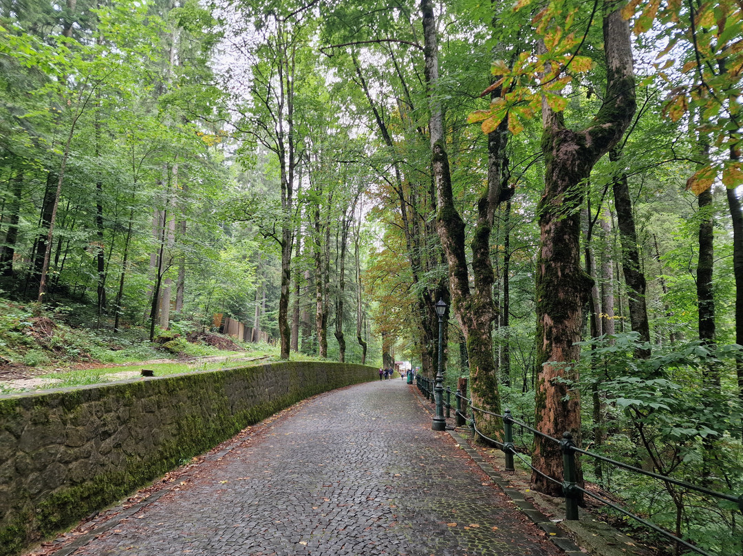 Pelișor Castle-锡纳亚必去景点