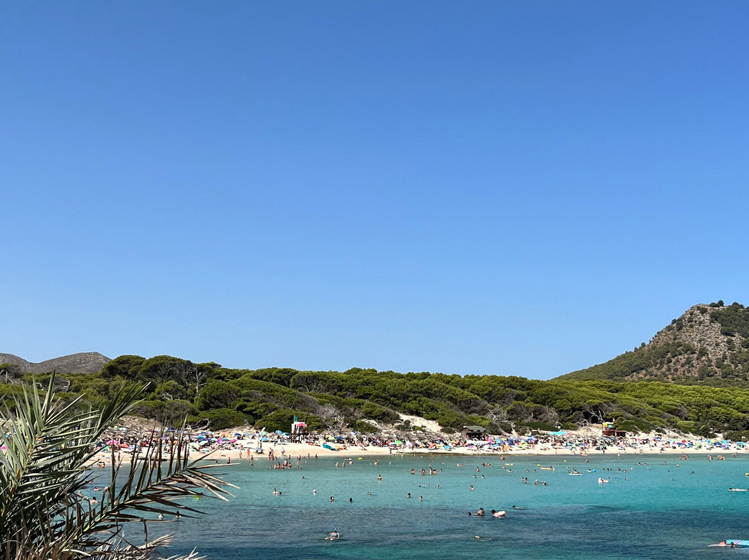 Cala Agulla-Cala Ratjada必去景点