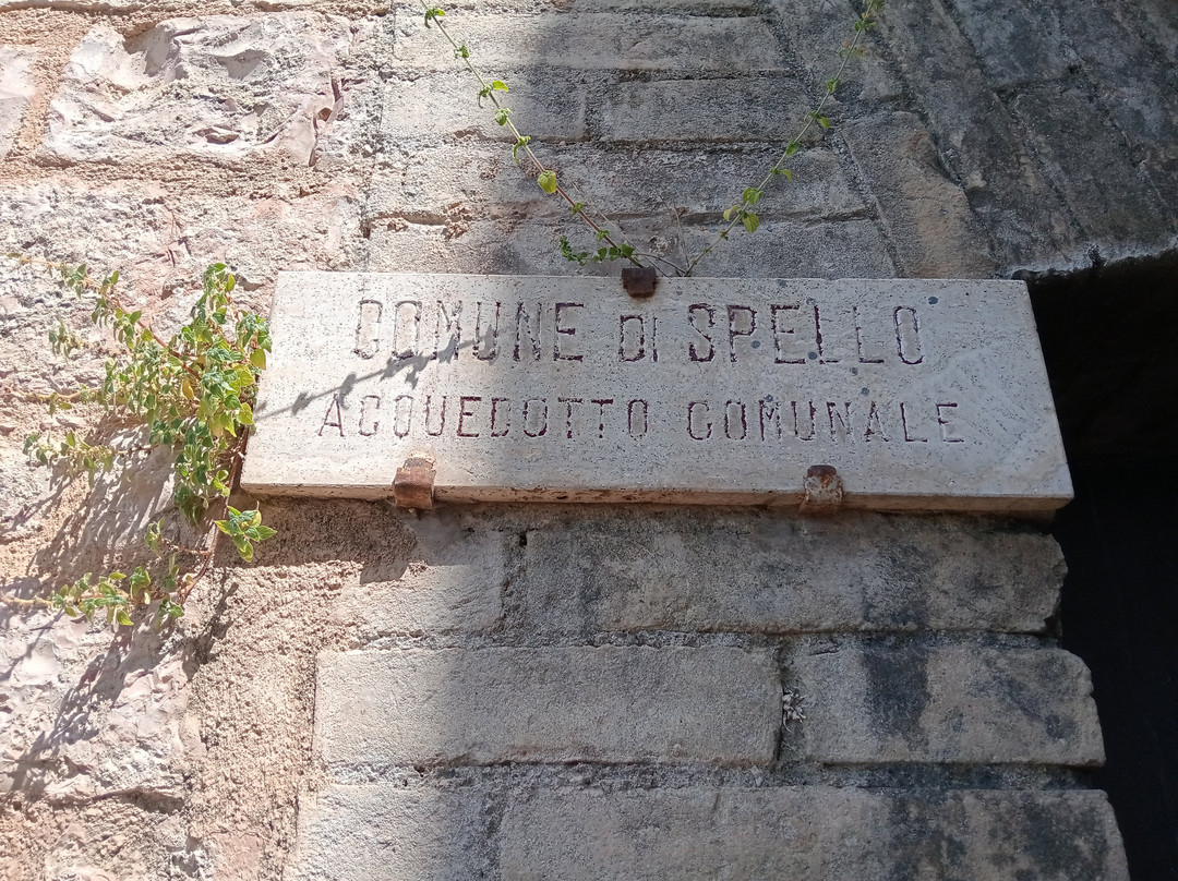 Torre di San Severino-Spello必去景点