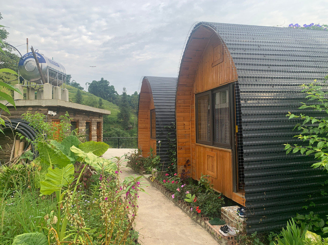 Sapa Big Tree Hmong Homestay主图