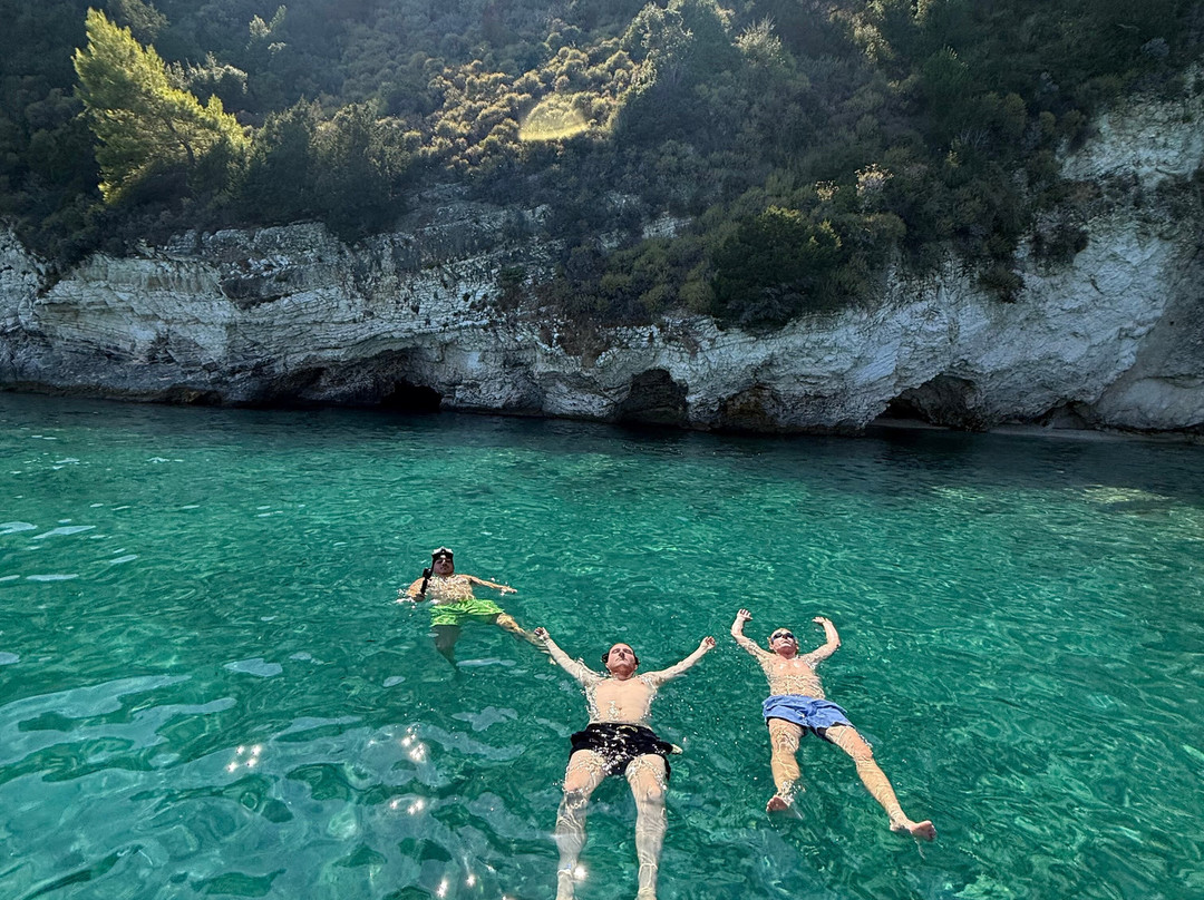 Zante Vipboats-阿雷克斯必去景点