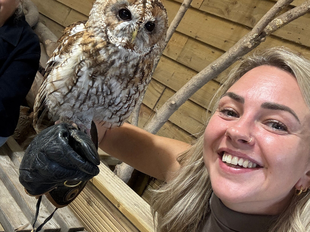 Hawk Conservancy Trust Bird of Prey Centre-Andover必去景点