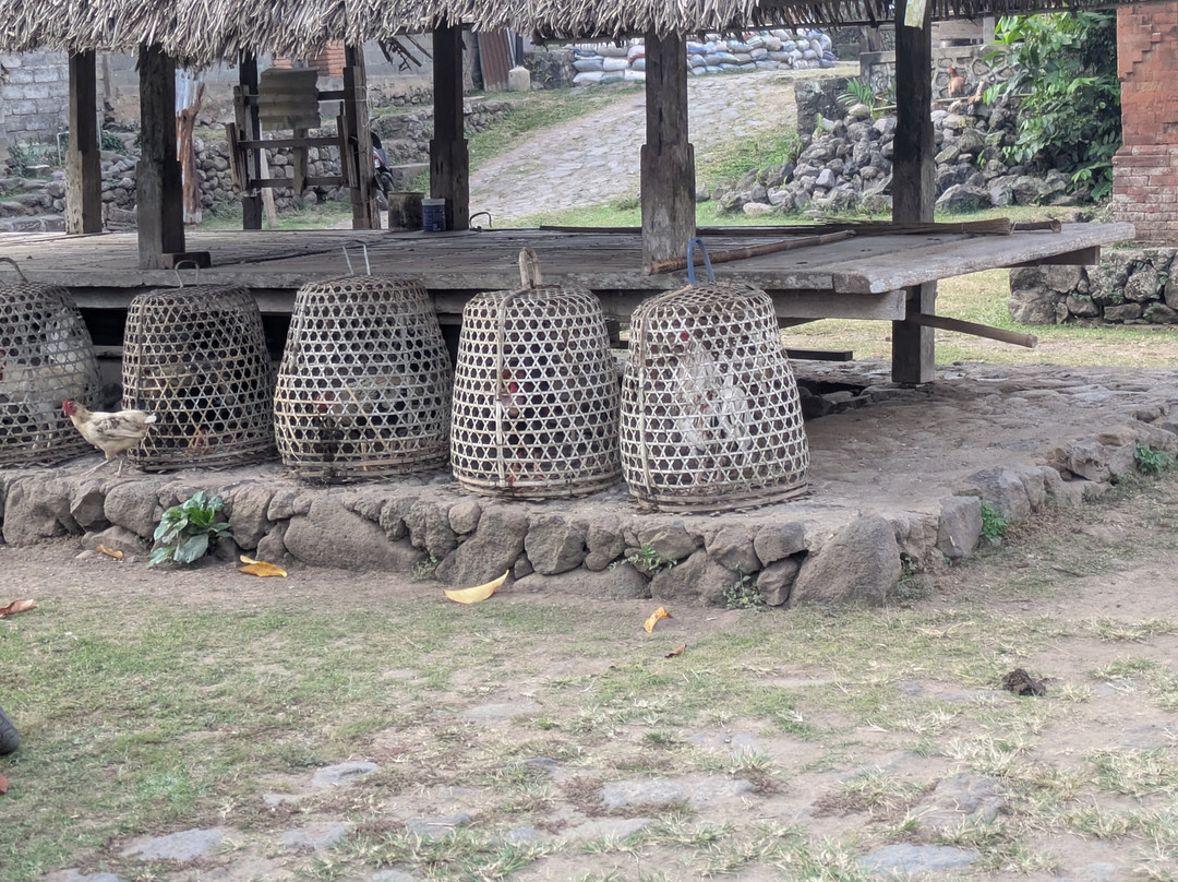 Tenganan Ancient Village-登安南必去景点