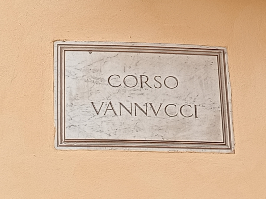 Corso Vannucci-佩鲁贾必去景点