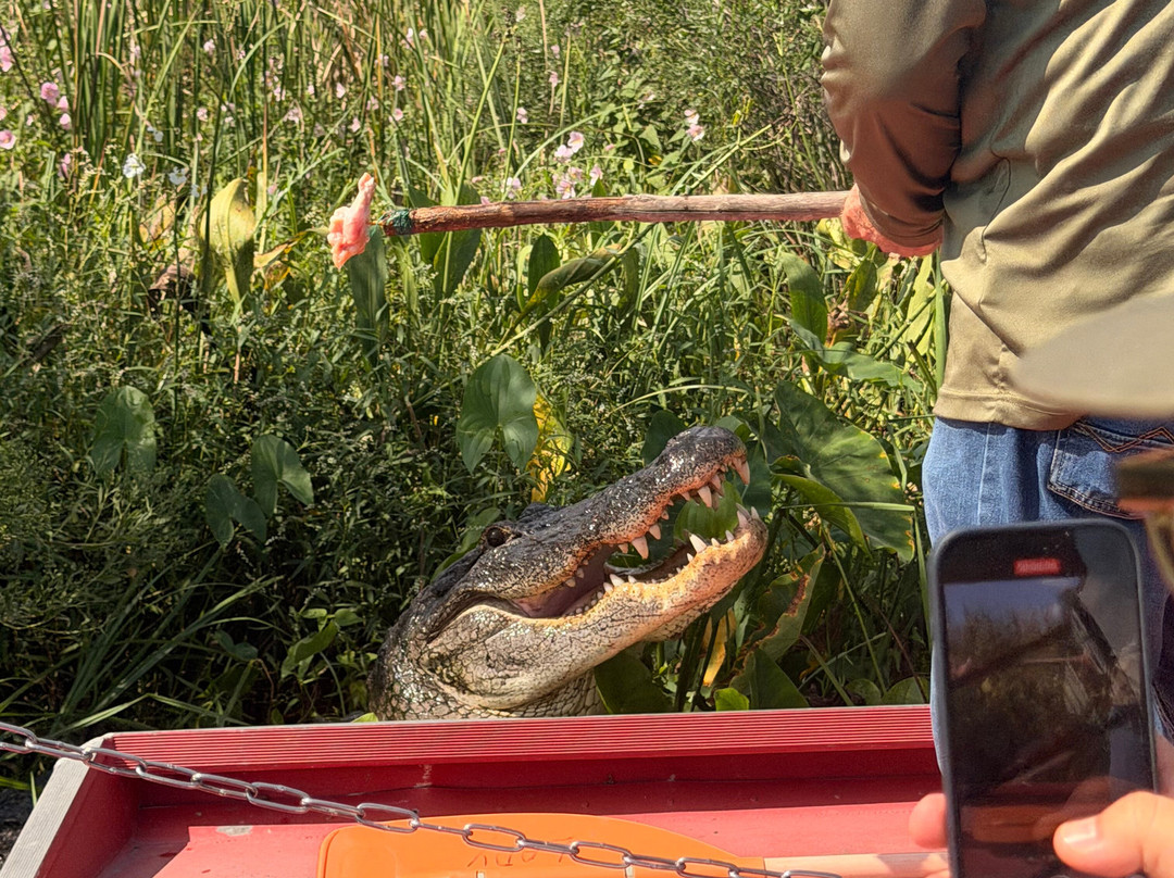 New Orleans Airboat Tours-Marrero必去景点