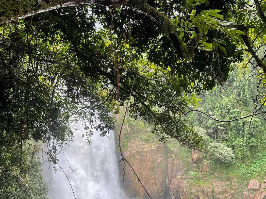 Khao Yai National Park-北丕必去景点