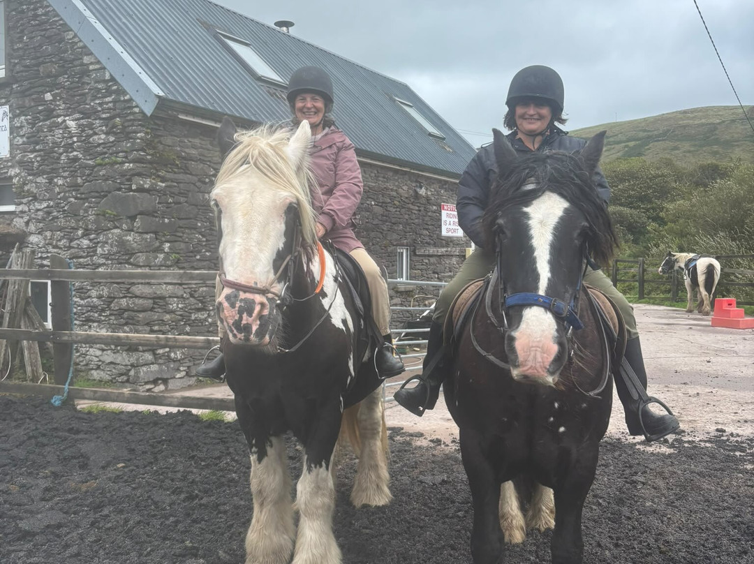 Long's Horse Riding-Ventry必去景点
