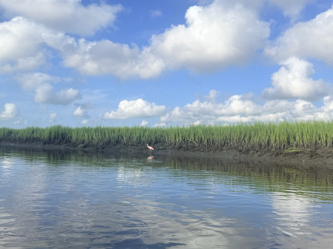 Amelia Island Nature Center-阿米莉亚岛必去景点