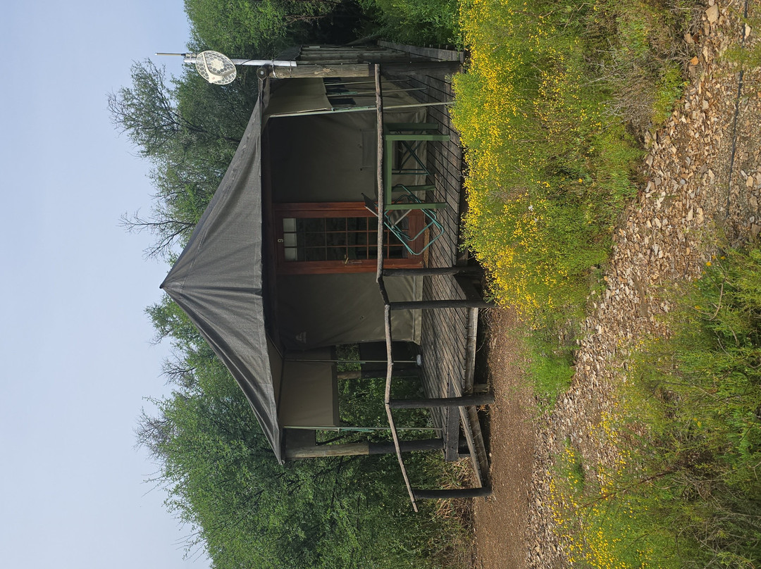 Chandelier Game Lodge & Ostrich Show Farm-奥兹洪必去景点