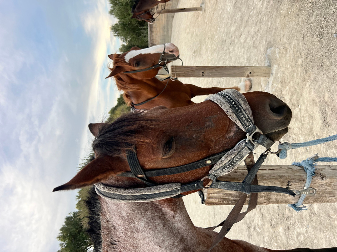 Finikia Horseriding-Finikia必去景点