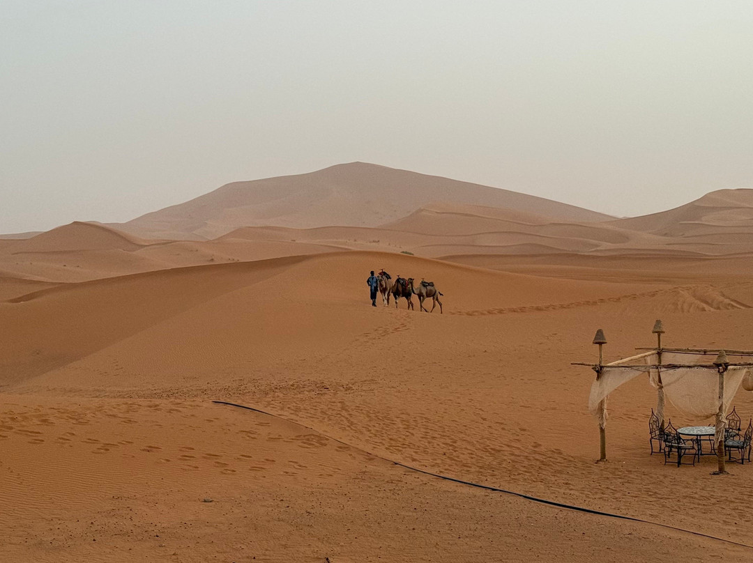 Discover Morocco Trips-非斯必去景点