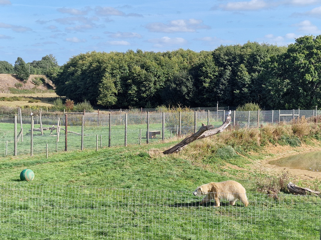 Jimmy's Farm & Wildlife Park-伊普斯威奇必去景点