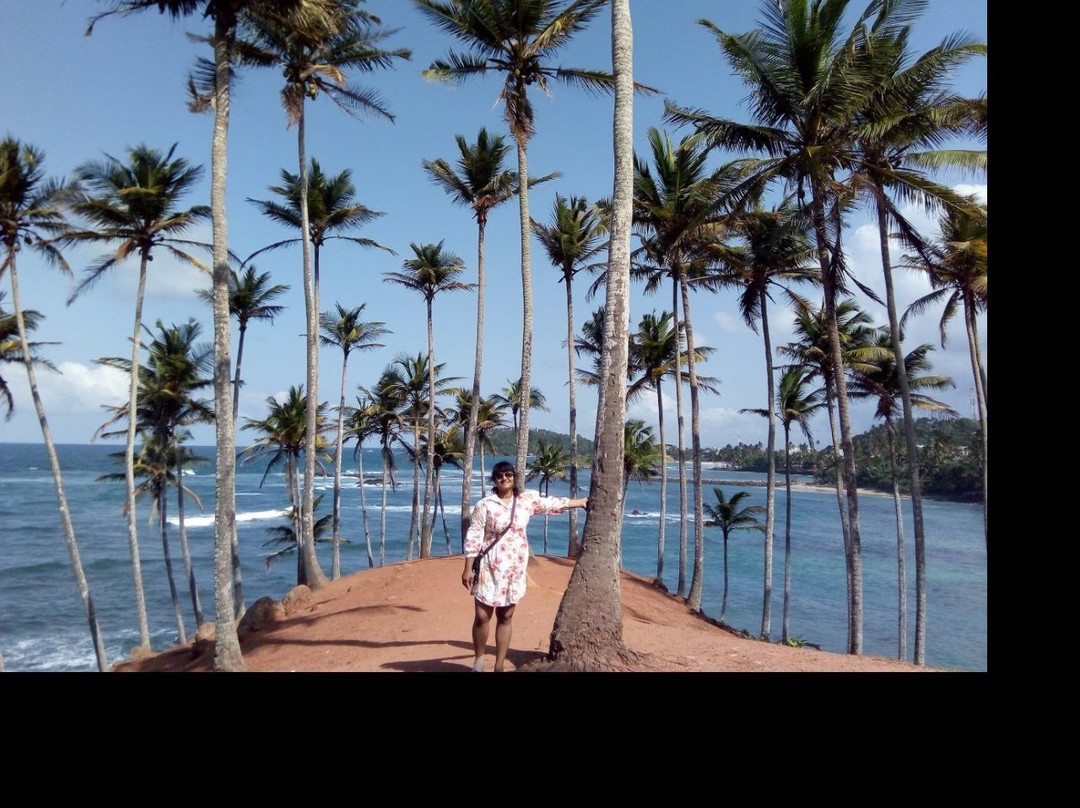 Coconut Tree Hill-美蕊沙必去景点