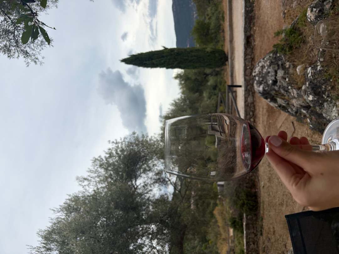 Lefkaditiki Winery-Fterno必去景点