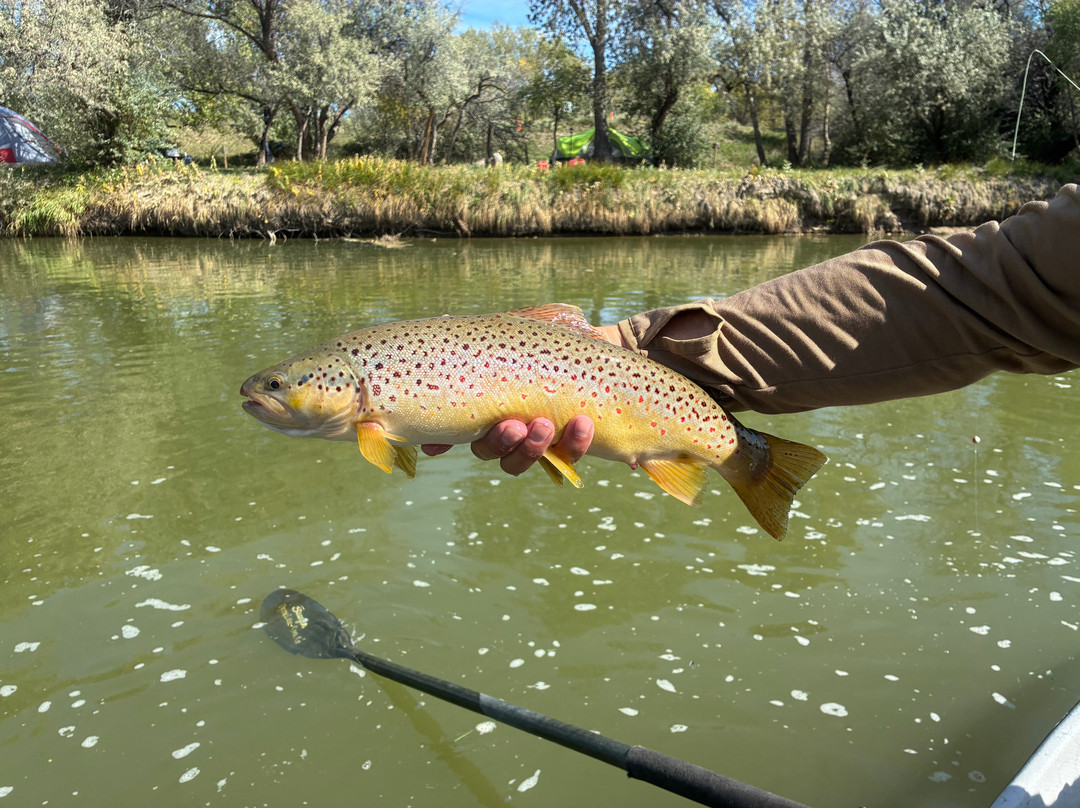 Wyoming Fly Fishing Guide Service-卡斯珀必去景点