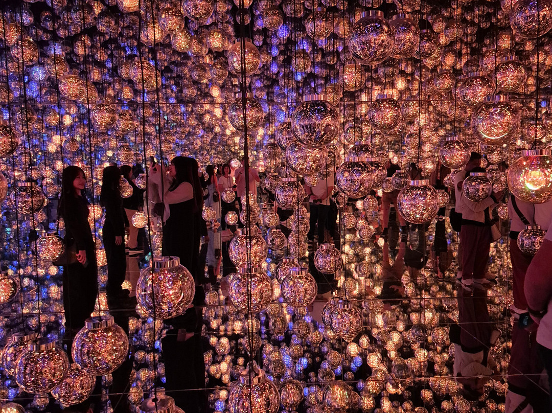 Teamlab Borderless Tokyo-港区必去景点