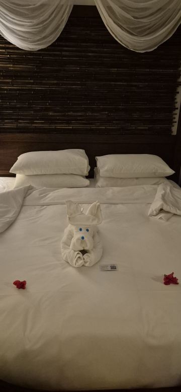 塞舌尔故事酒店-旅行者
