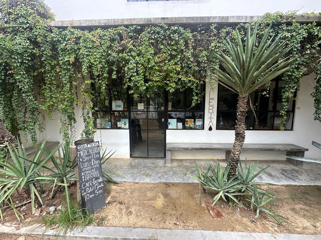 Mezcaleria Gota Gorda
