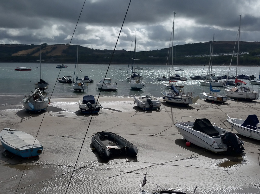 SeaMor Dolphin Watching Boat Trip-纽基必去景点
