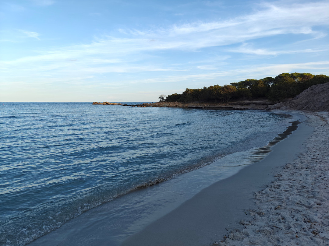 Spiaggia Cala Ginepro e Sa Curcurica-奥罗塞必去景点